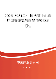 2025-2031年中國托管中心市場調查研究與前景趨勢預測報告